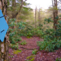 An Idea for a Better West Virginia