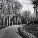County Road 4